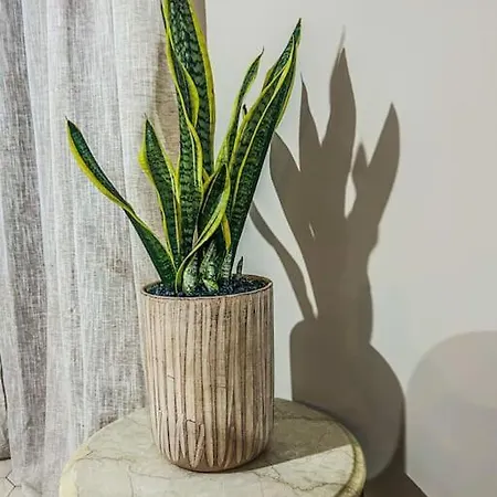 Apartman Sonata Argosztóli